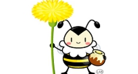 プロポリス propolis