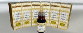 プロポリス　propolis