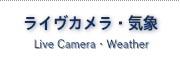 富士山ライブカメラ　ハンググライダー　ハングライダー　忍野スカイスポーツ倶楽部　空を飛ぶ　トーイング　富士山　ライブカメラ　パラグライダー