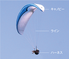 para01.png