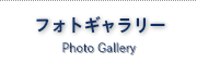 写真　ハンググライダー　ハングライダー　忍野スカイスポーツ倶楽部　空を飛ぶ　トーイング　富士山　ライブカメラ　パラグライダー